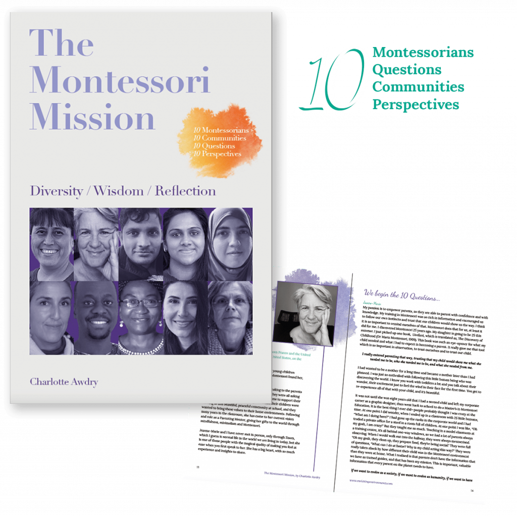 The Montessori Mission: Diversity - Wisdom - Reflection Paperback